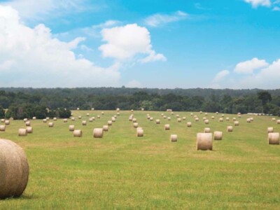Vermeer Balers Catalog Features Clay Hill Ranch Photos