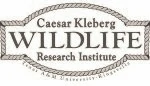 Caesar Kleberg Wildlife Research Institute