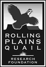 Rolling Plains Quail - Research Foundation