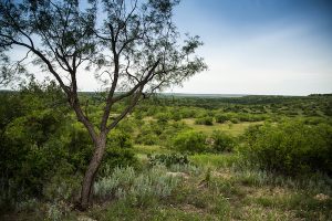 Comanche Crest Ranch