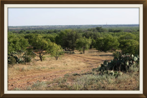 west texas ranch for sale