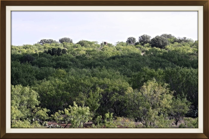 west texas ranch for sale