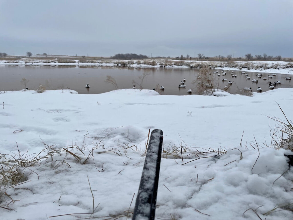 Duck Hunt Decoys January 2022