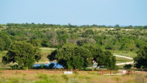 3B Ranch