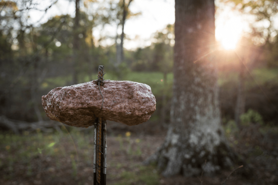 Trophy Rock Mineral