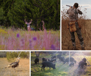 Hamilton County Hunting