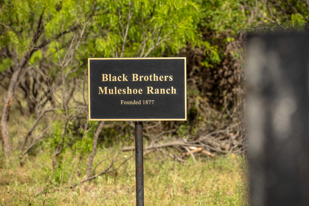 Texas Hunting Land- Black Brothers Muleshoe Ranch