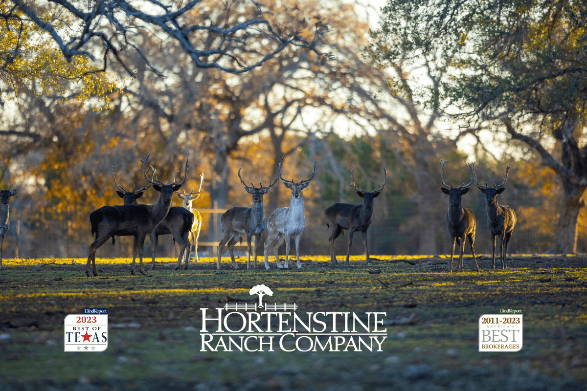 Texas Hunting Ranches