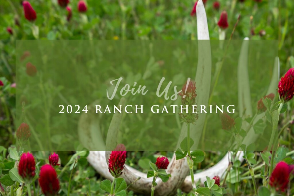 Ranch Gathering 2024 Feature Image