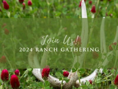 Date is Set for HRC’s Annual Client Ranch Gathering