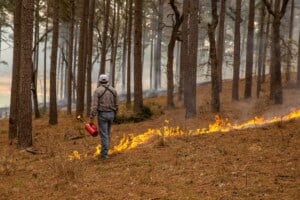 Prescribed Fire at WHH Ranch