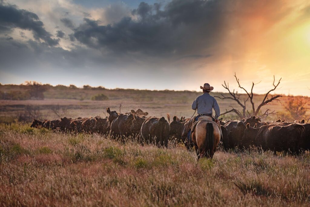 biggest ranches in Texas