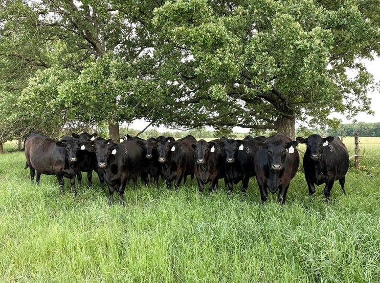 Jones Family Ranch