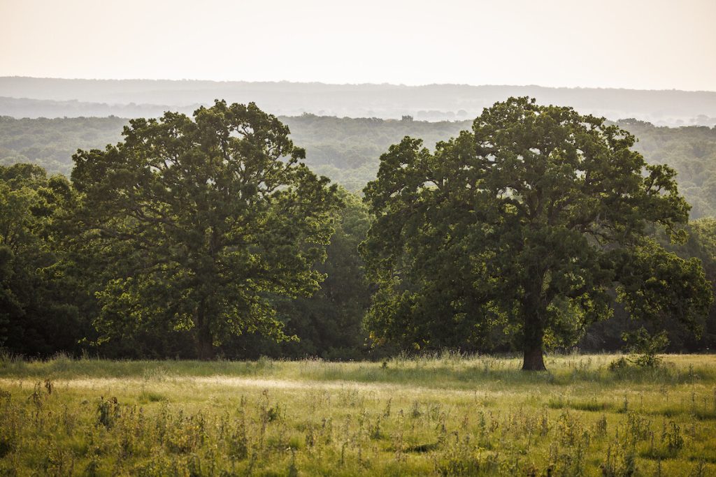 Texas ranches for sale near Dallas, TX