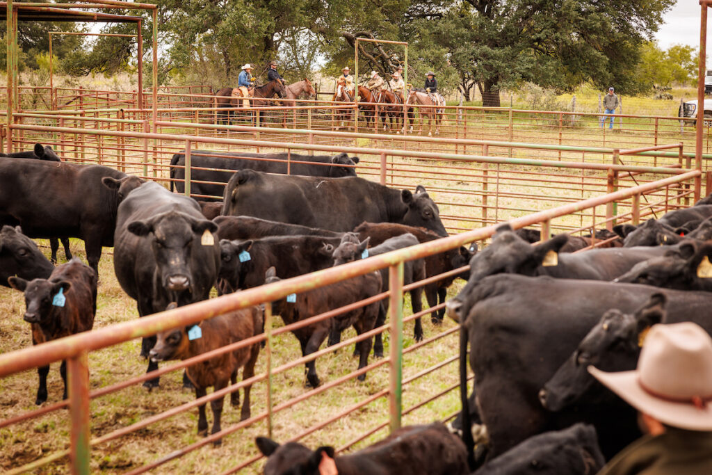 How Ranchers Make Money