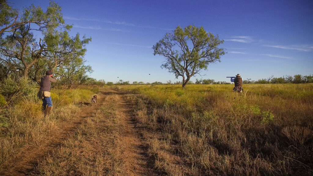 How to get a Texas hunting license