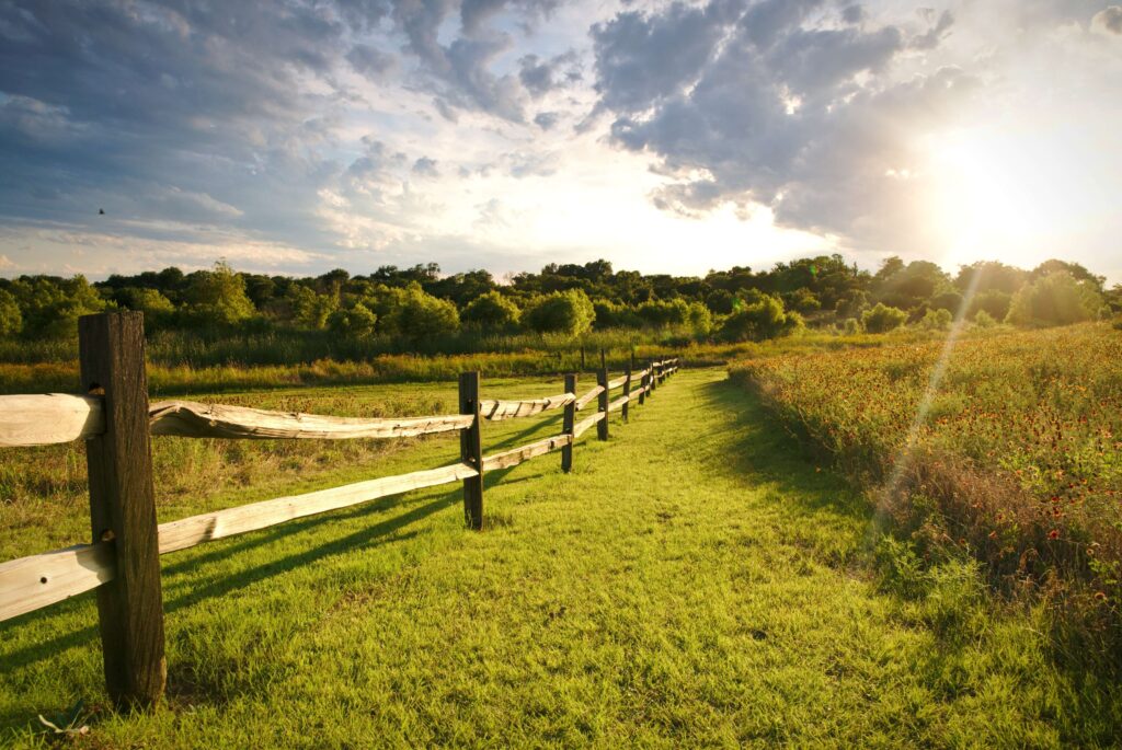 A Simple Guide to Ranch Fencing