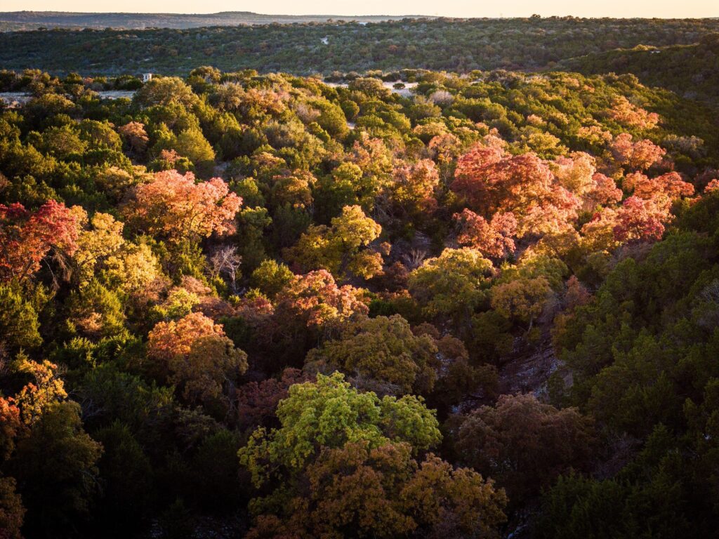 Owl Ranch Feature Aerial